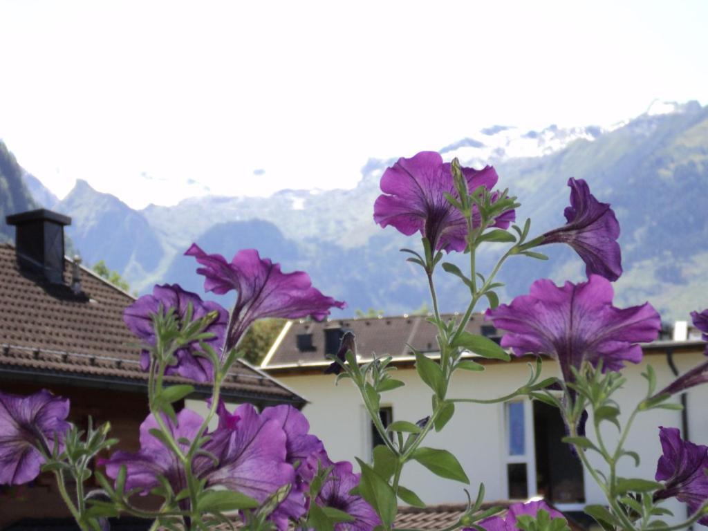 Apartmenthaus Gotthardt Kaprun Oda fotoğraf